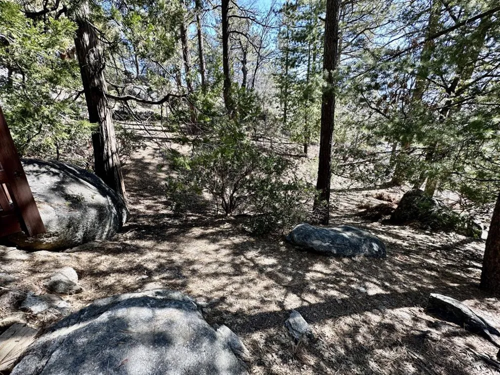 53226 Overlook Drive Idyllwild, CA 92549