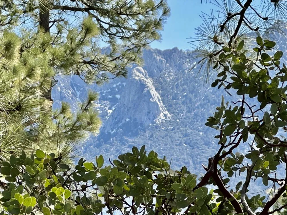 53226 Overlook Drive Idyllwild, CA 92549