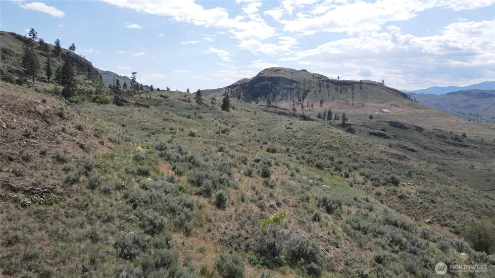 0 Lot B Swanson Mill Road Oroville, WA 98844