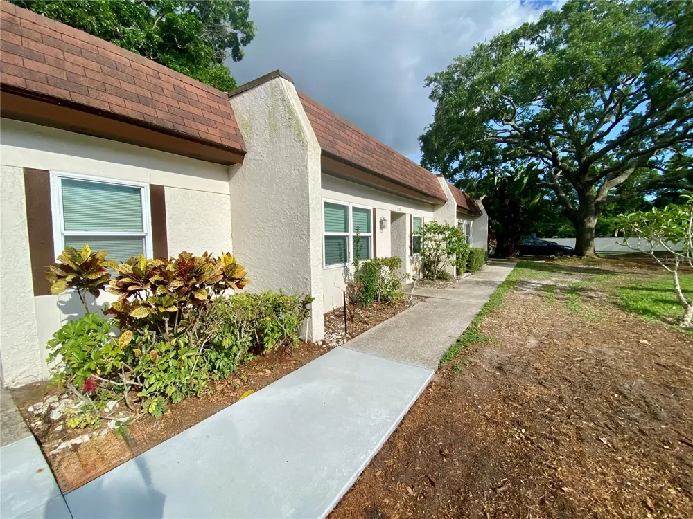 3157 MISSION GROVE DRIVE Palm Harbor, FL 34684