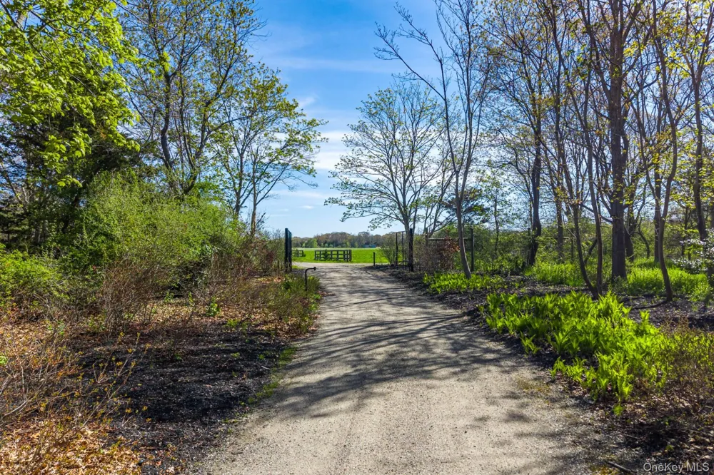 3123 & 3595 Skunk Lane Cutchogue, NY 11935