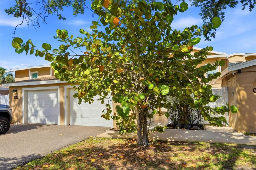 833 E GULF BOULEVARD #103 Indian Rocks Beach, FL 33785