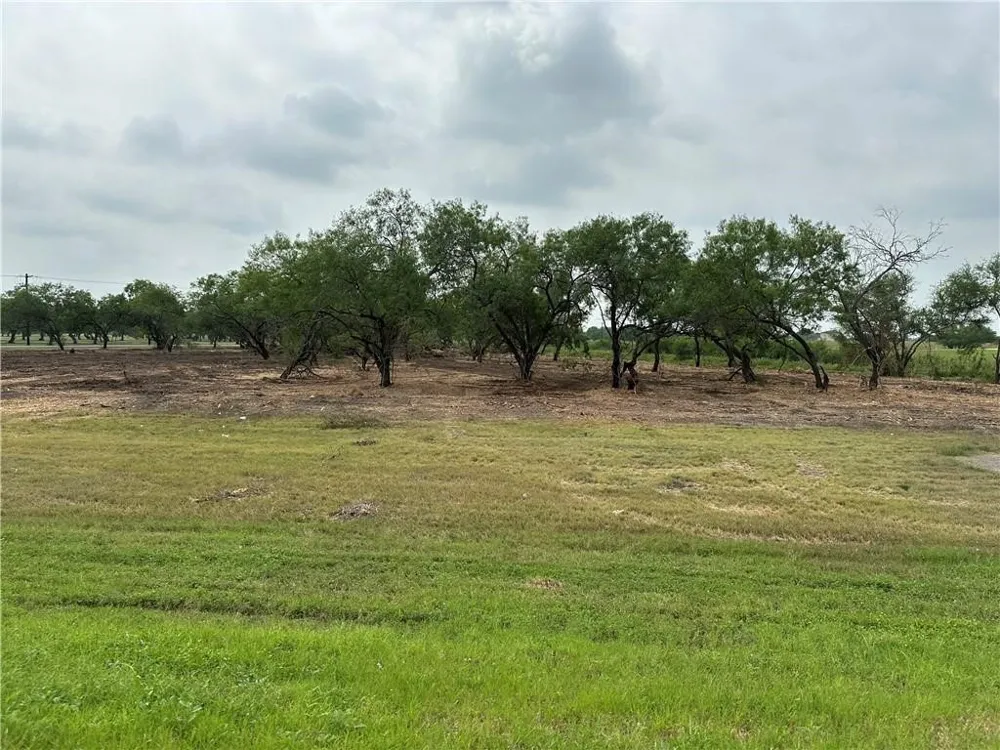 E Hwy 44 x CR 341 Highway Alice, TX 78332