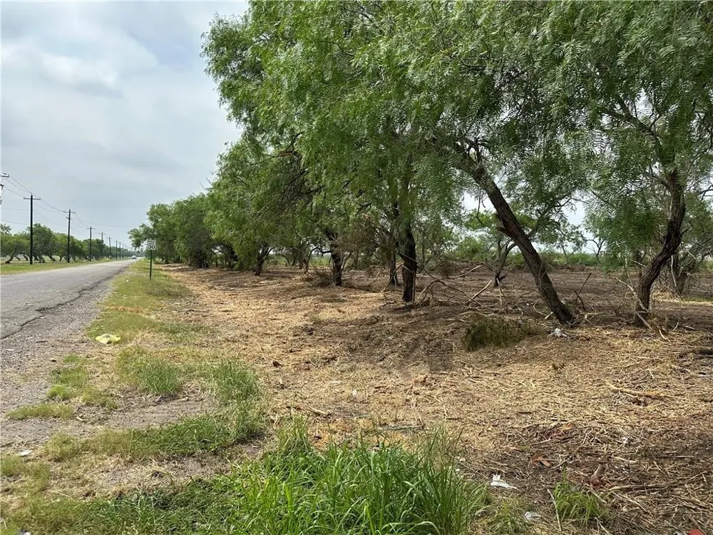 E Hwy 44 x CR 341 Highway Alice, TX 78332