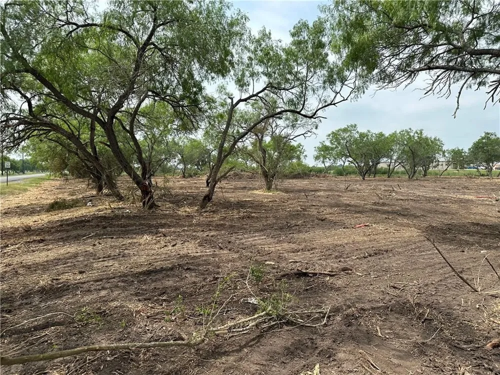 E Hwy 44 x CR 341 Highway Alice, TX 78332