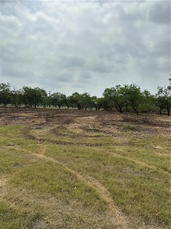 E Hwy 44 x CR 341 Highway Alice, TX 78332