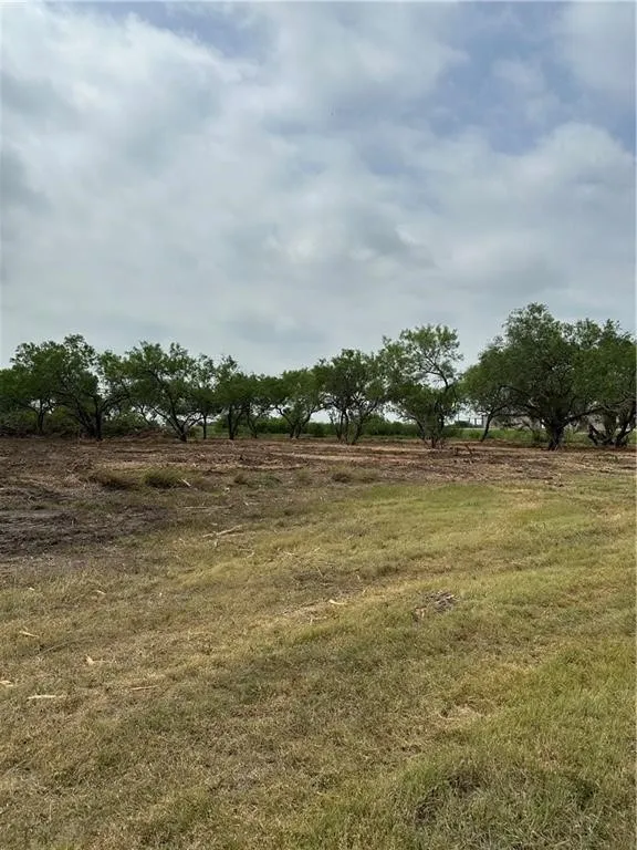 E Hwy 44 x CR 341 Highway Alice, TX 78332