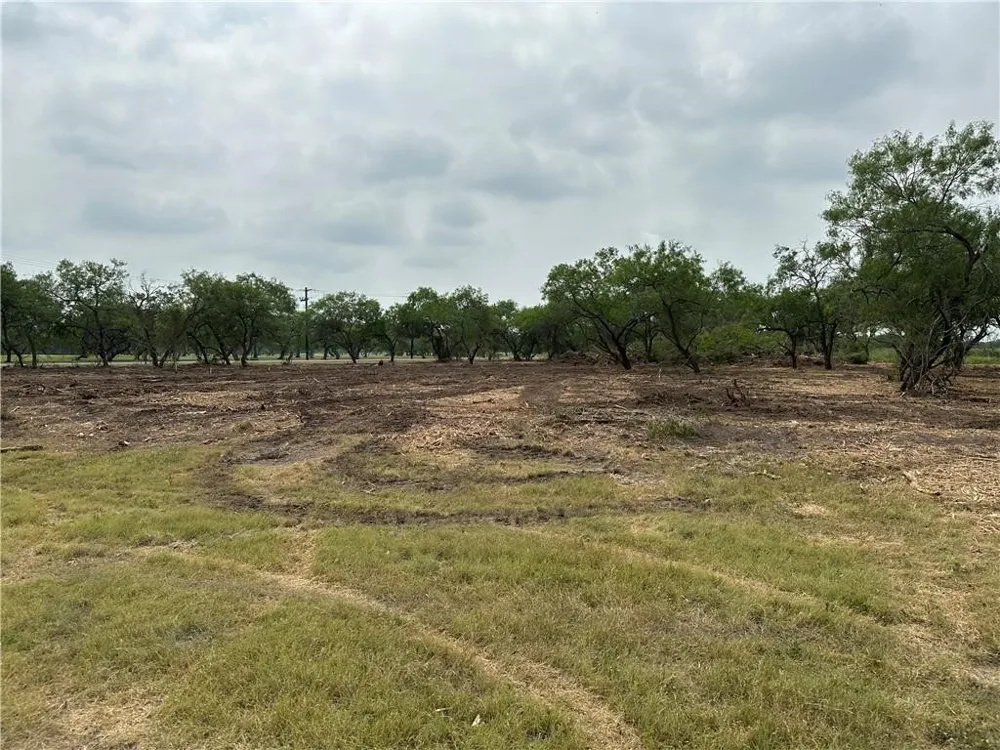 E Hwy 44 x CR 341 Highway Alice, TX 78332