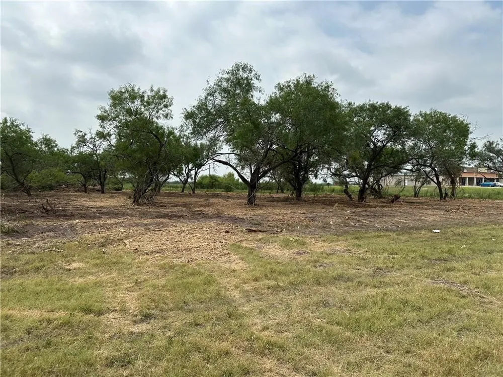 E Hwy 44 x CR 341 Highway Alice, TX 78332