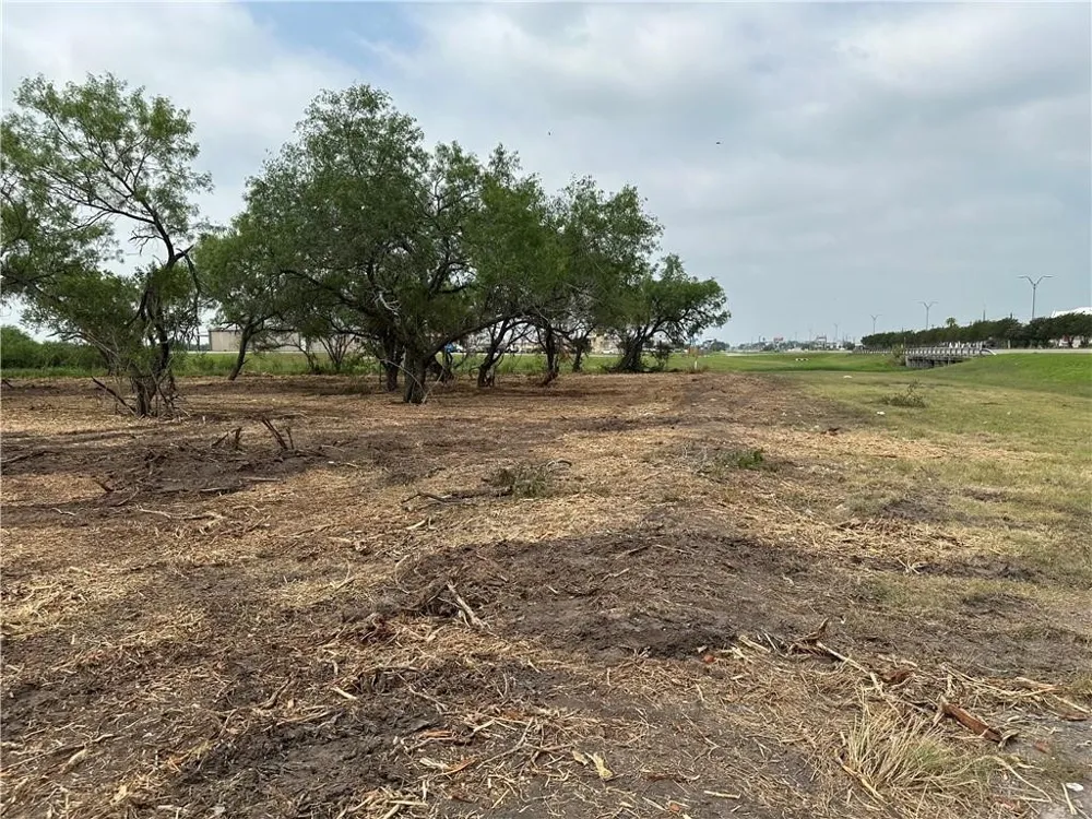 E Hwy 44 x CR 341 Highway Alice, TX 78332