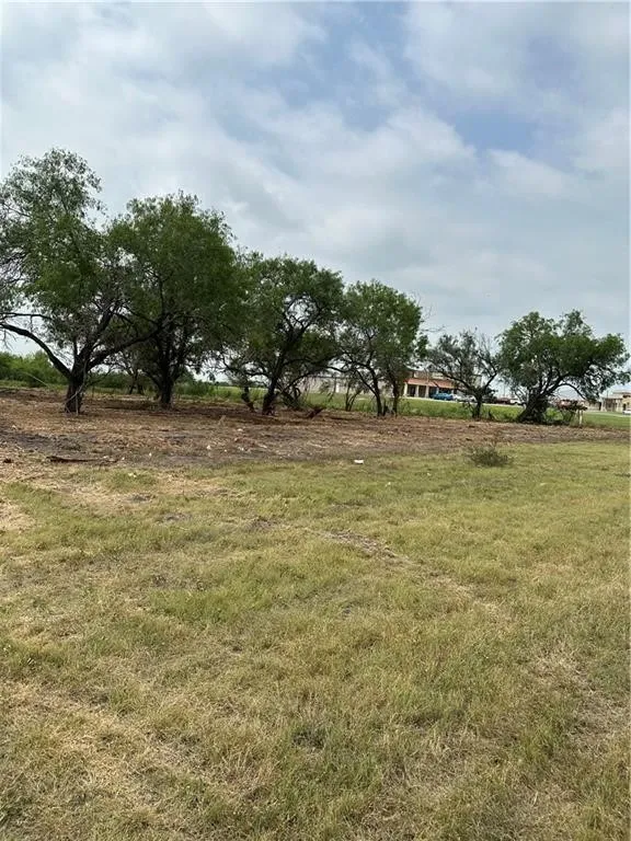 E Hwy 44 x CR 341 Highway Alice, TX 78332