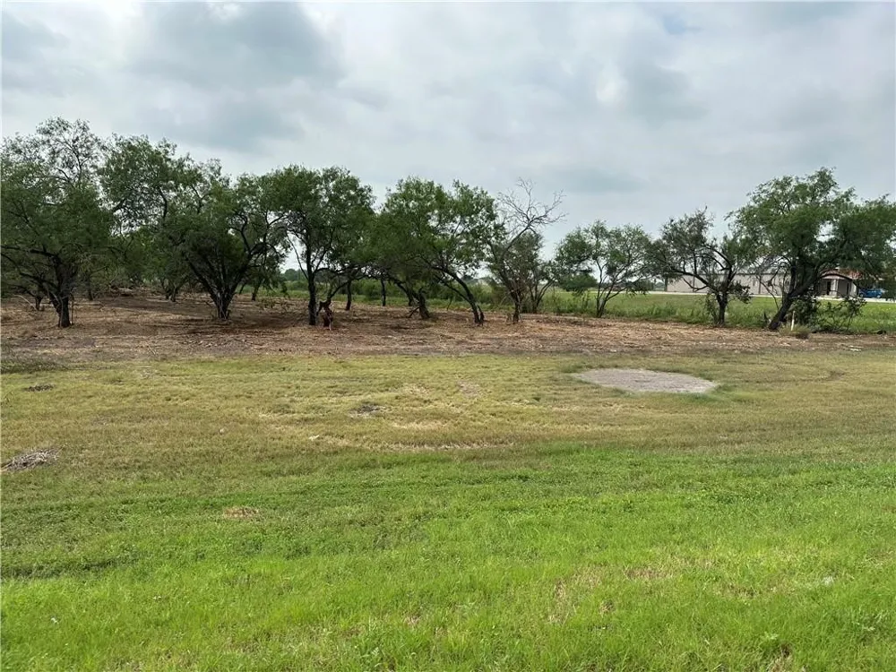 E Hwy 44 x CR 341 Highway Alice, TX 78332