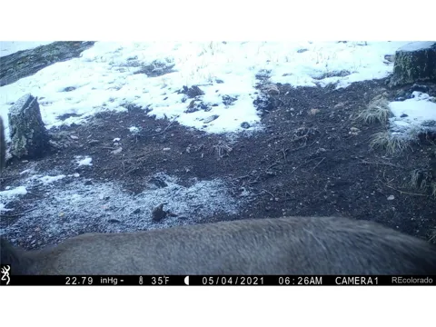 20300 Old Ranch Loop