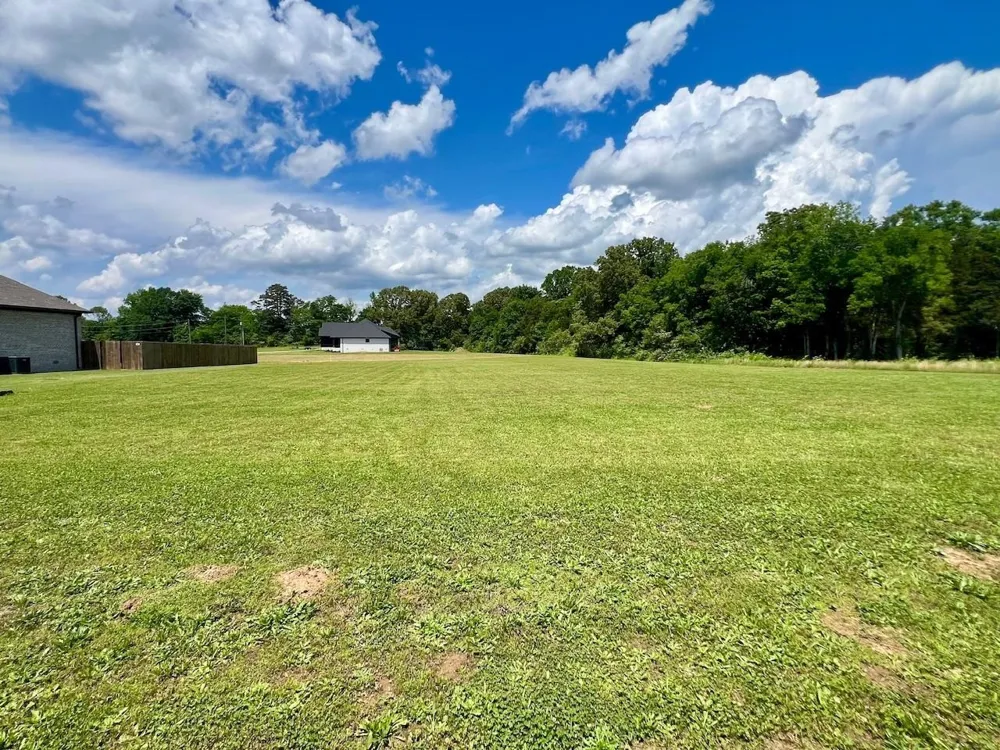 0 CORDOVA CV Savannah, TN 38372
