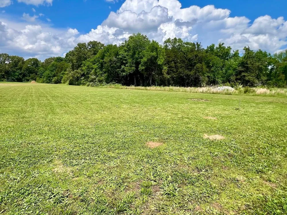 0 CORDOVA CV Savannah, TN 38372