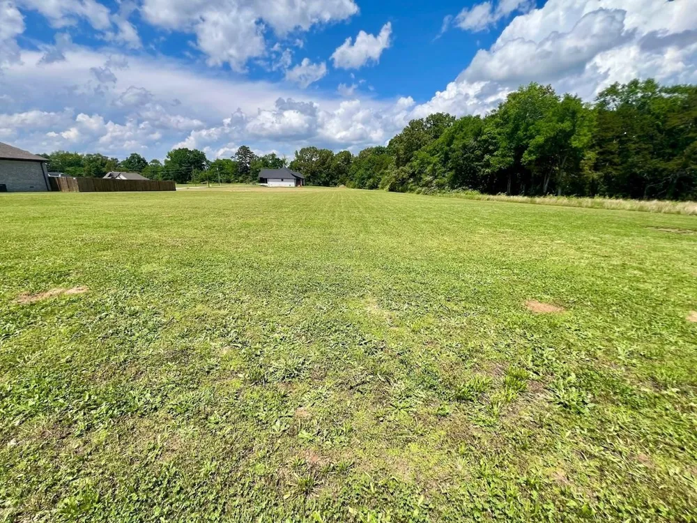 0 CORDOVA CV Savannah, TN 38372