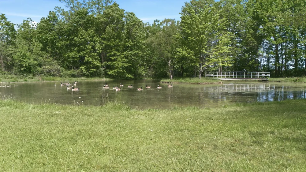 7767 Warren Woods Road Chikaming Township, MI 49128