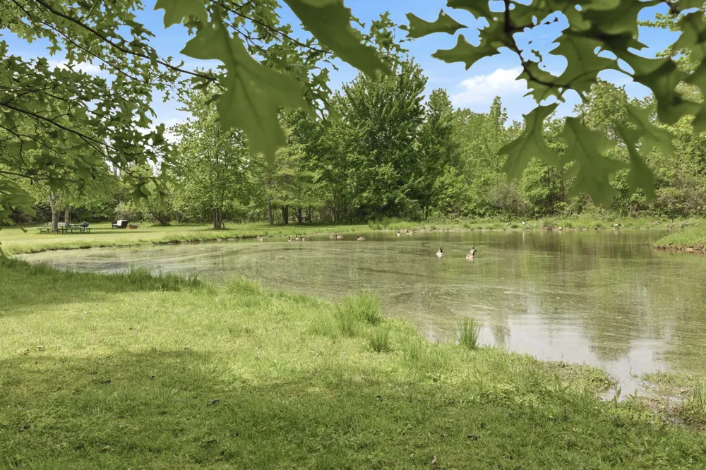7767 Warren Woods Road Chikaming Township, MI 49128