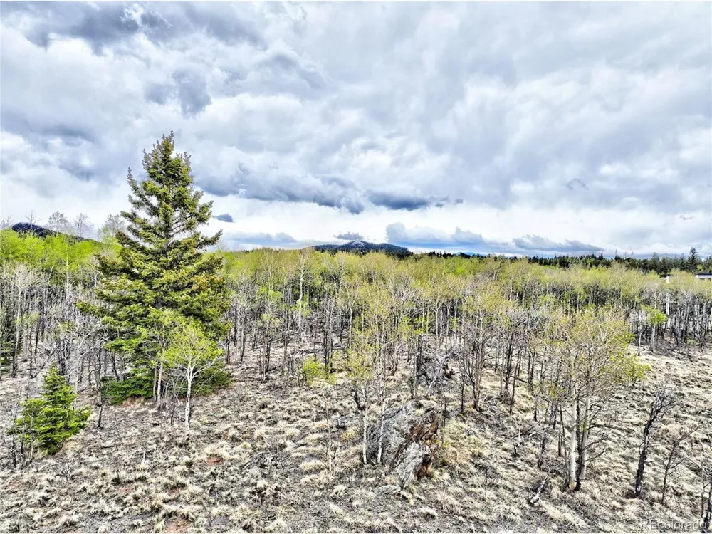 71 Mallard Road Como, CO 80432