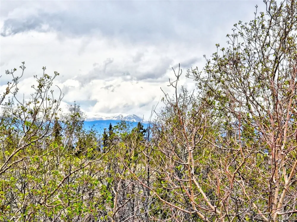 71 Mallard Road Como, CO 80432