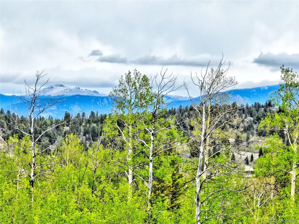 71 Mallard Road Como, CO 80432