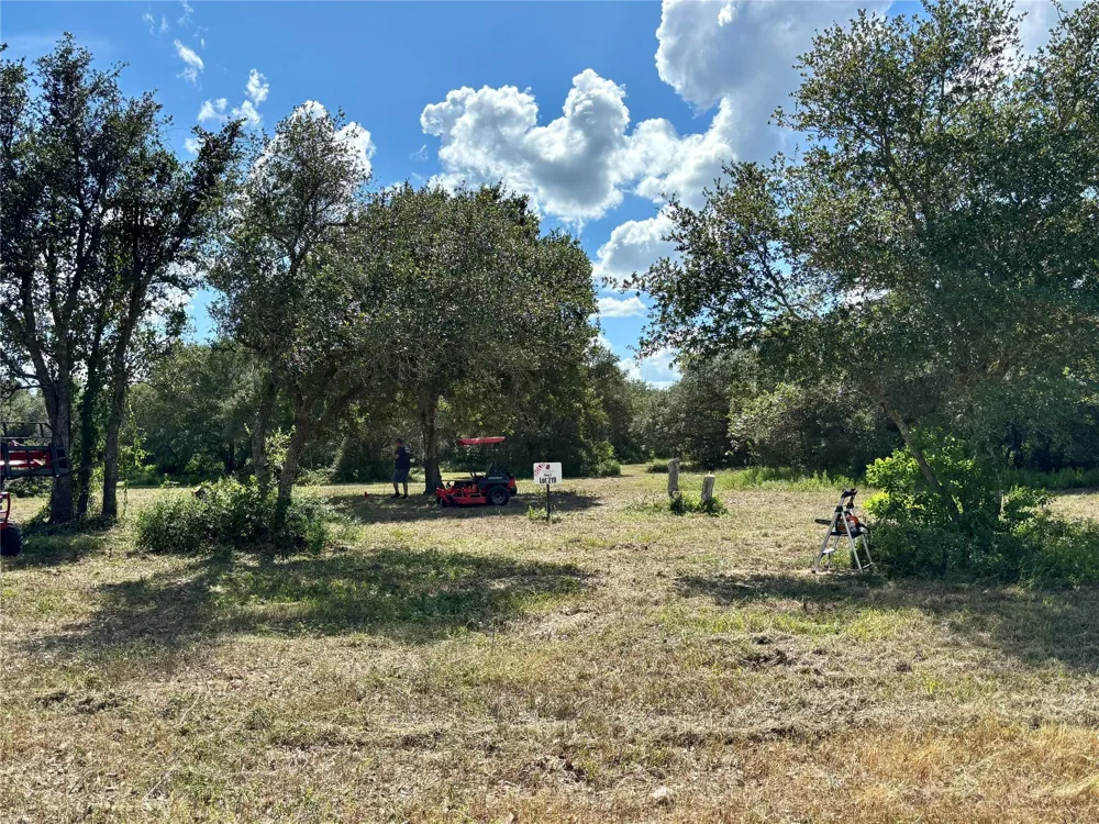 Teal Columbus, TX 78934