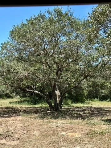 Teal Columbus, TX 78934