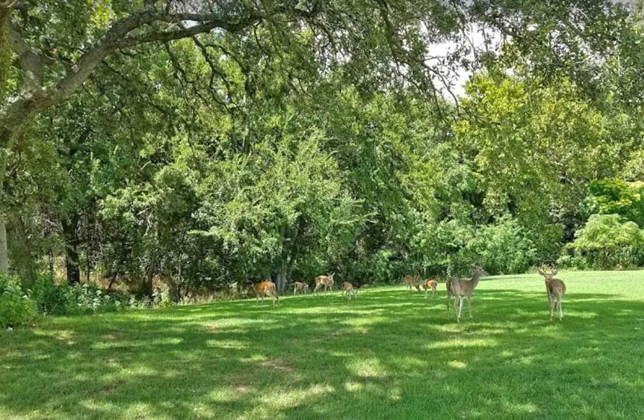 8129 Clearwater Cv Cove Leander, TX 78645