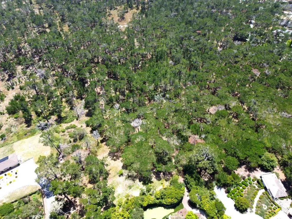 4040 Sunridge Road Pebble Beach, CA 93953