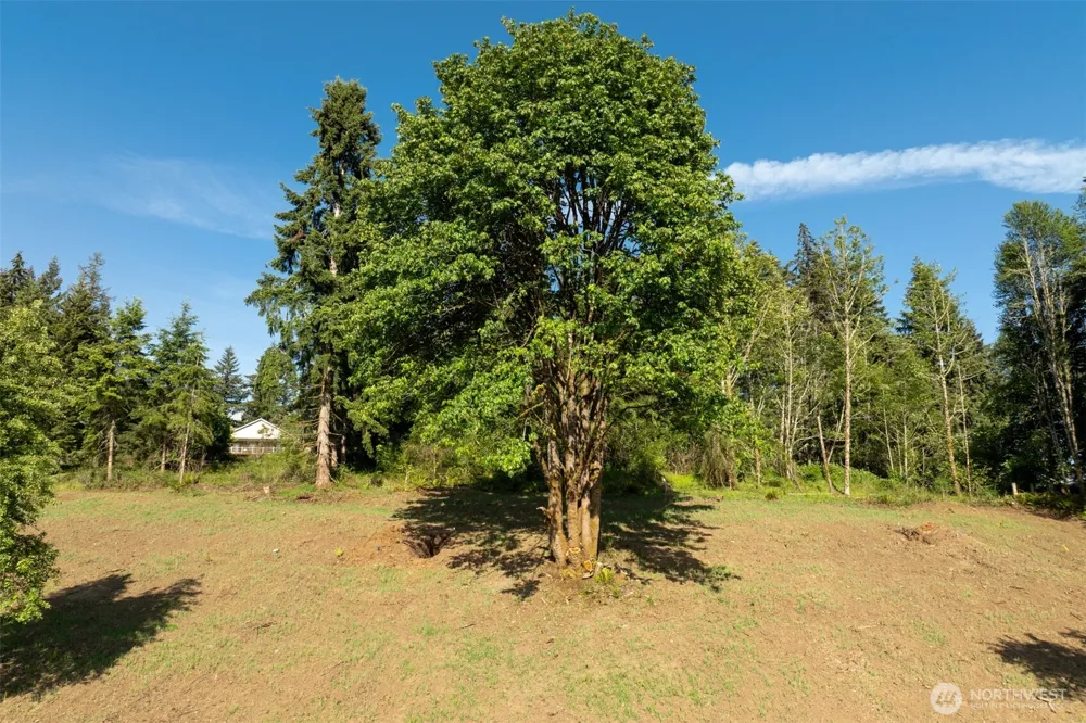 0 Lenora Lane Kelso, WA 98626