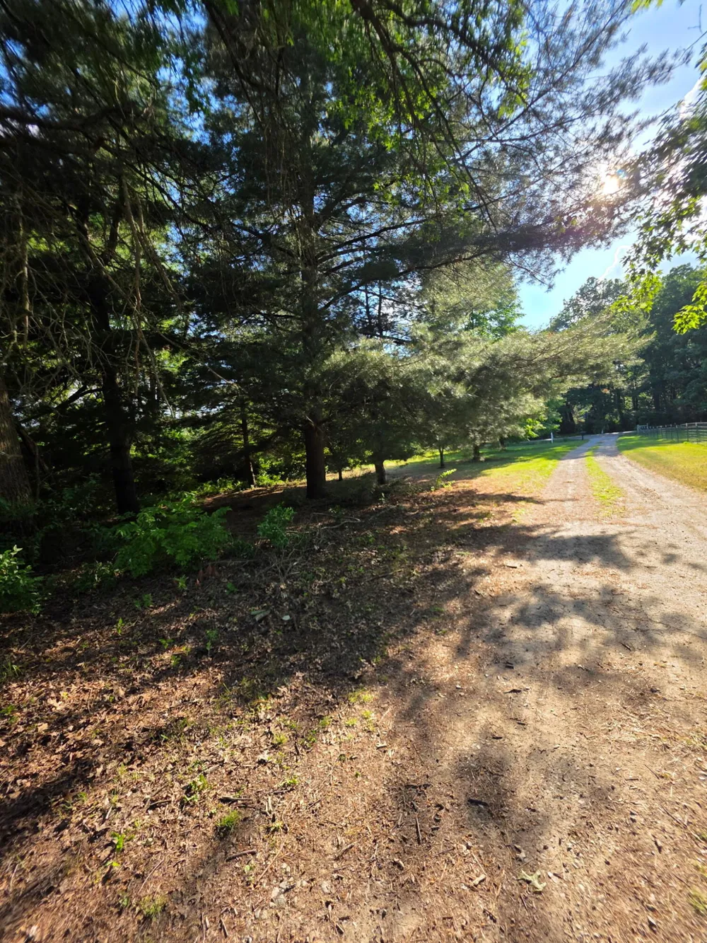 4201 Secor Road Ida Township, MI 48140