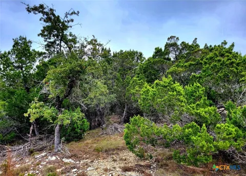 171 Appaloosa Drive