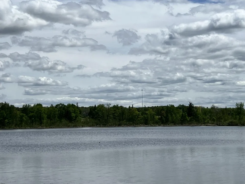 10020 Musson Road #155 Belvidere Township, MI 48886
