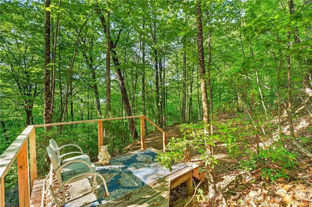 93 Martin Crossing Cherry Log, GA 30522