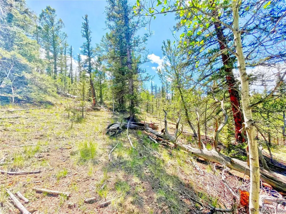 224 Apache Trail Como, CO 80456