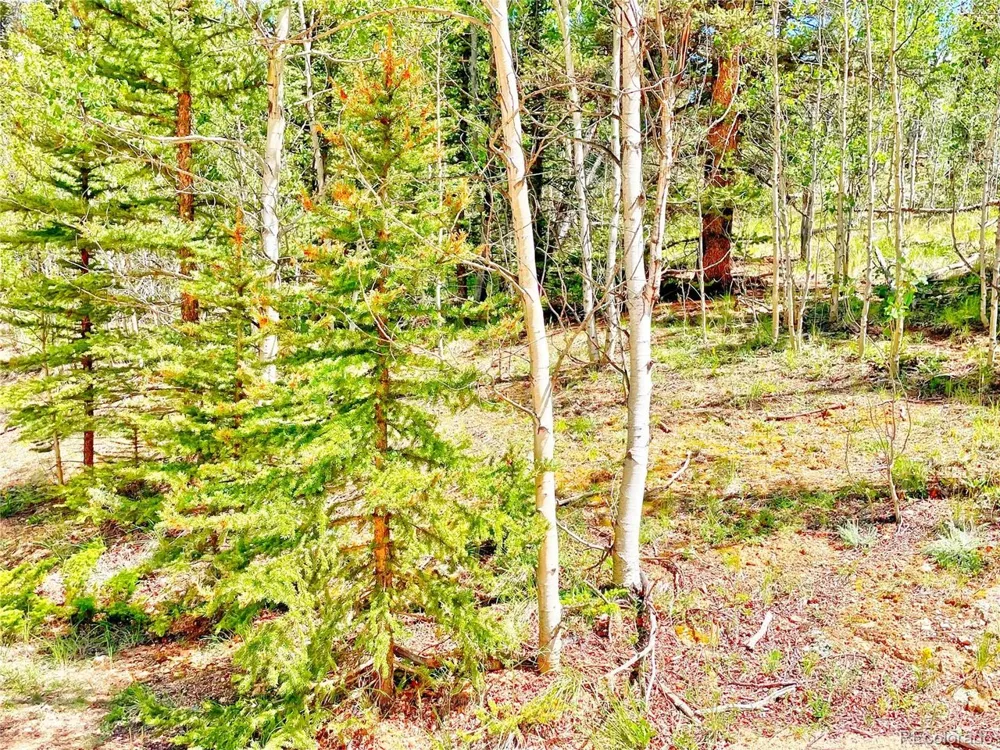 224 Apache Trail Como, CO 80456