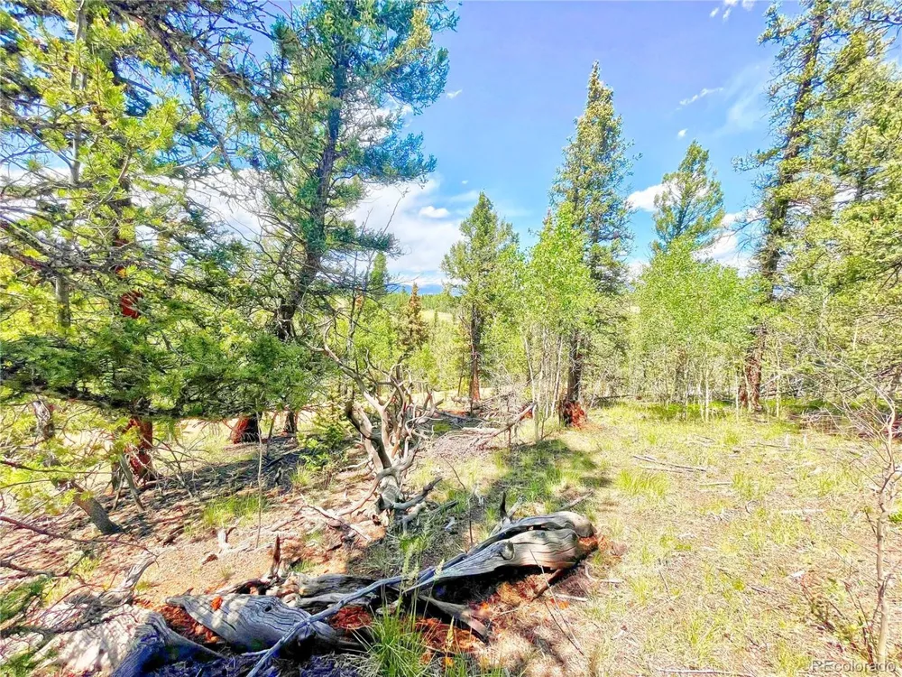 224 Apache Trail Como, CO 80456