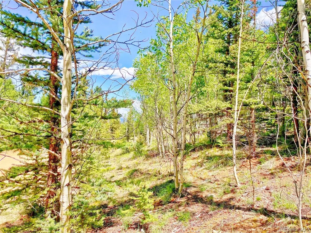 224 Apache Trail Como, CO 80456