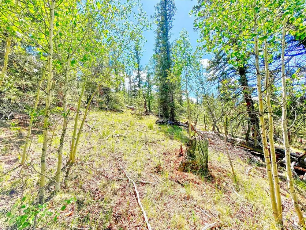 224 Apache Trail Como, CO 80456