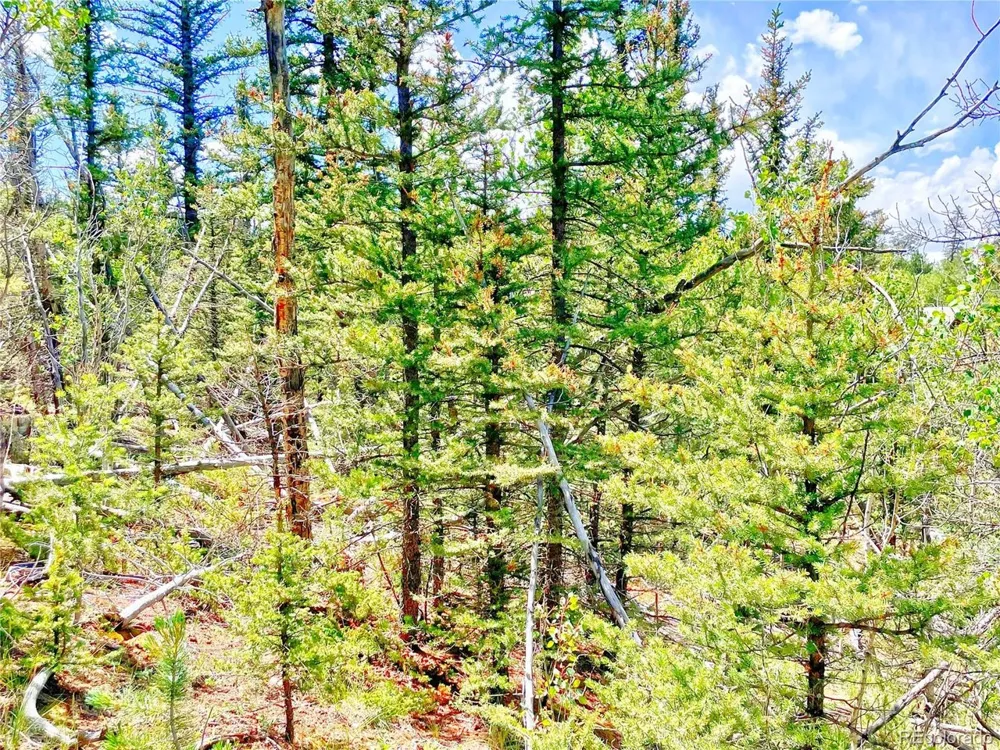 224 Apache Trail Como, CO 80456
