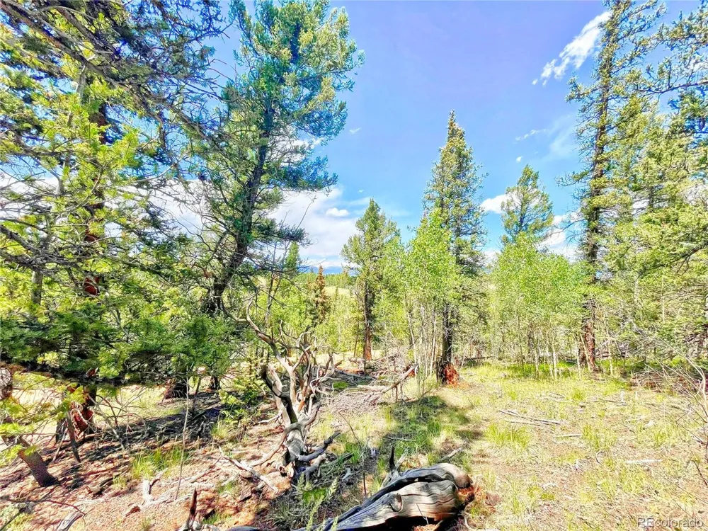 224 Apache Trail Como, CO 80456