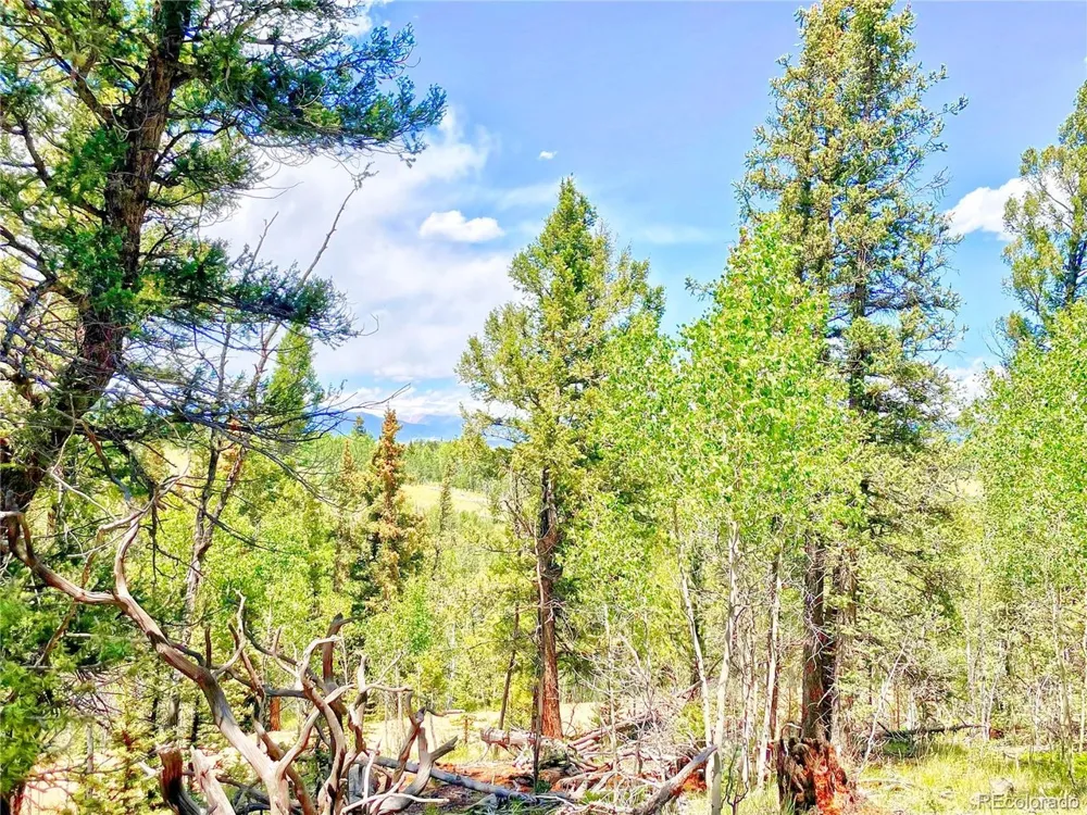 224 Apache Trail Como, CO 80456