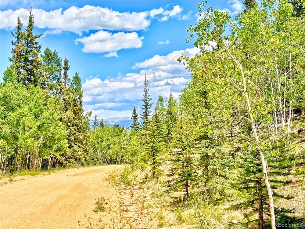 224 Apache Trail Como, CO 80456