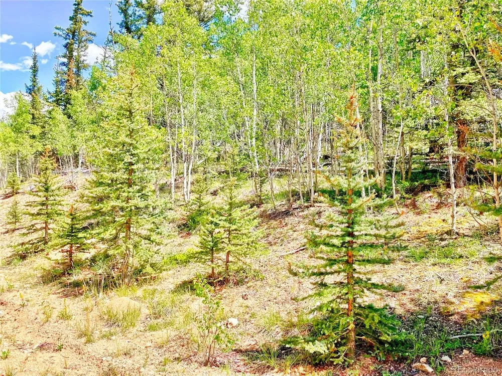 224 Apache Trail Como, CO 80456