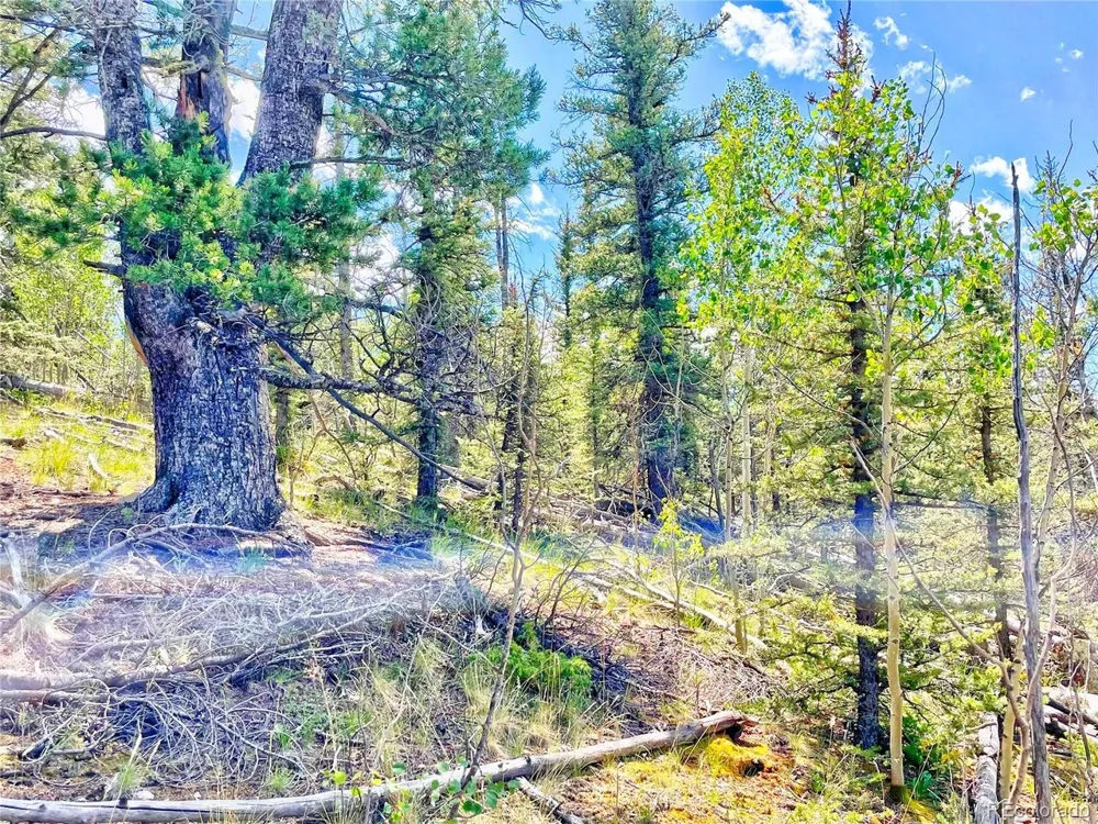 224 Apache Trail Como, CO 80456