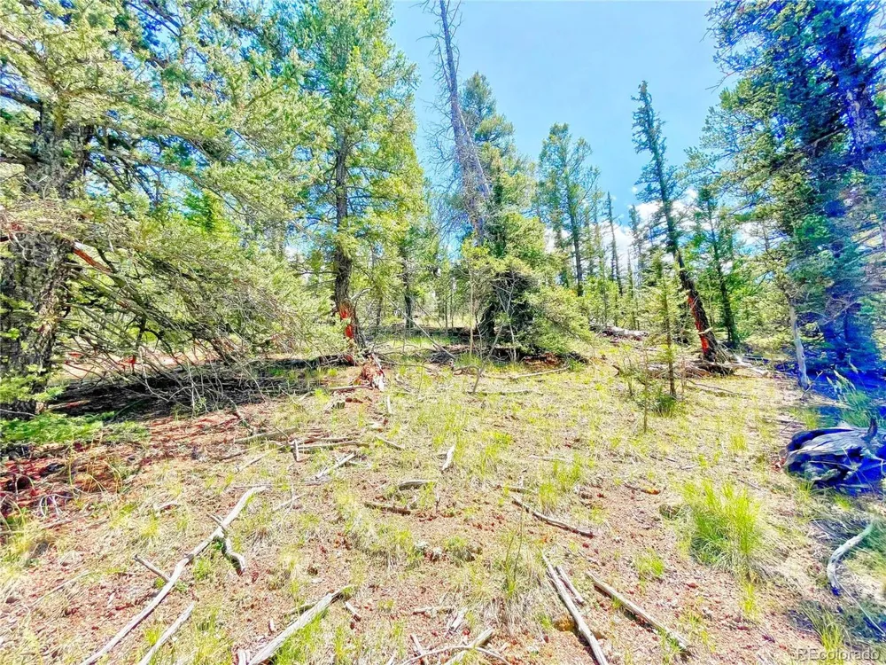 224 Apache Trail Como, CO 80456