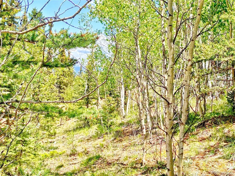 224 Apache Trail Como, CO 80456