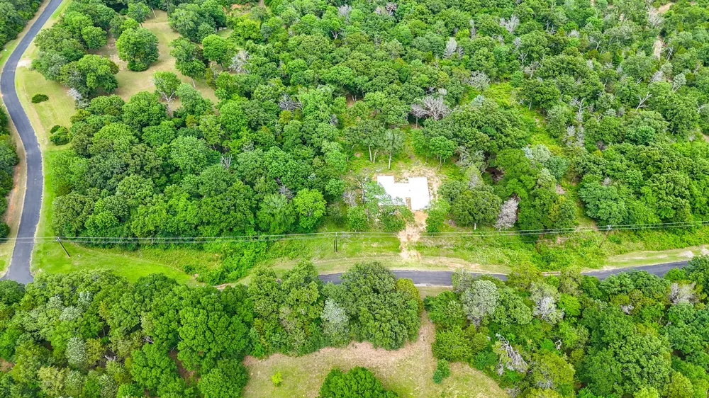 Shenandoah Drive Streetman, TX 75859