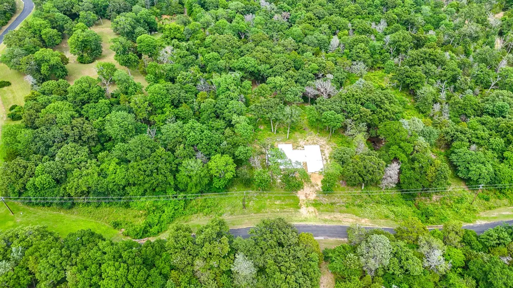 Shenandoah Drive Streetman, TX 75859