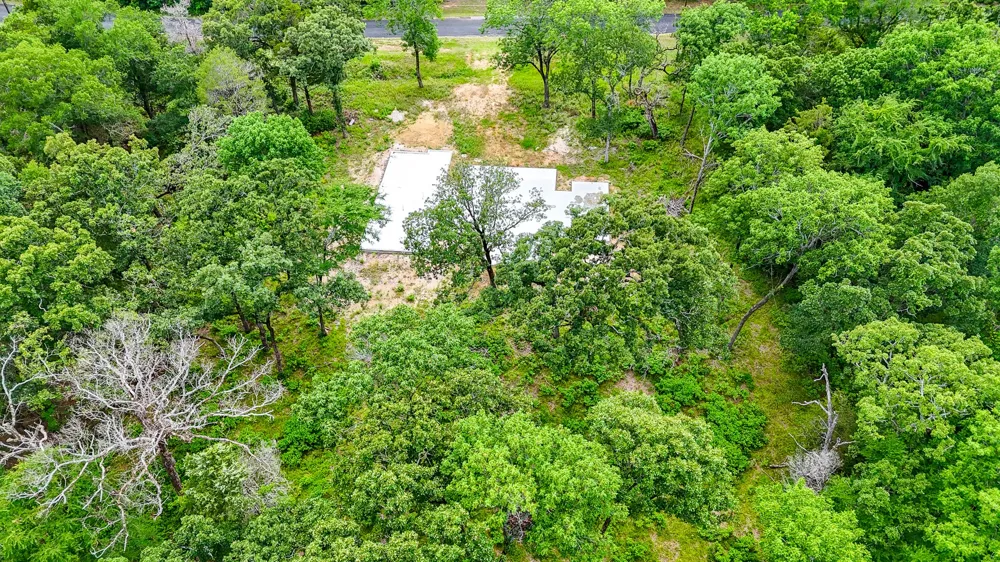 Shenandoah Drive Streetman, TX 75859